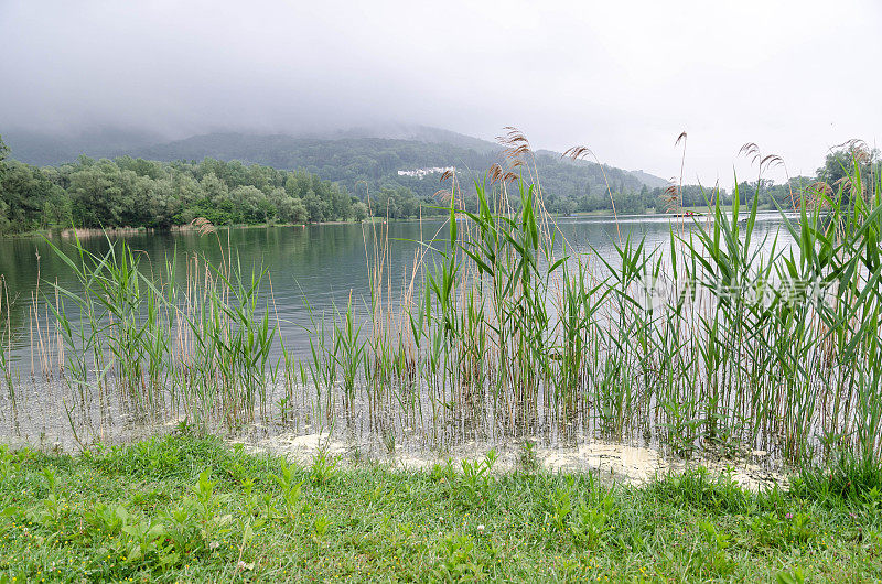 Plesching湖- Pleschingersee Linz